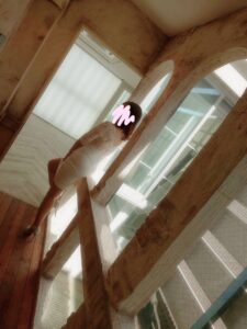 ひさびさの…